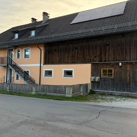 Alpenappartement - Appartamento
