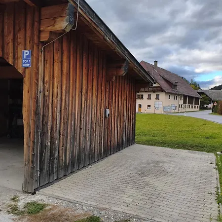 Alpenappartement - Tamsweg
